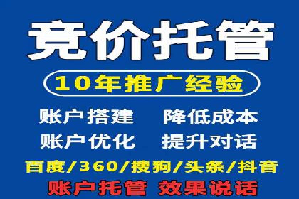某电商平台的SEM推广策略——代运营公司的实践